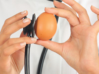 Studies show that an egg a day is okay