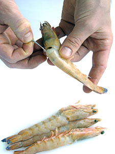 How Do You Grill Shrimp