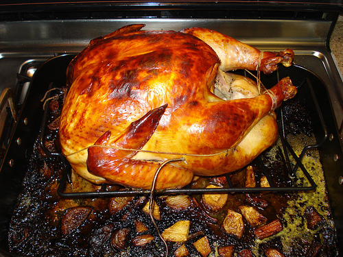 How To Cook Frozen Turkey Breast