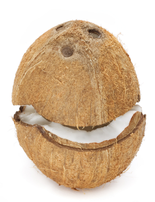 How To Open A Coconut At Home