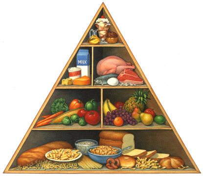 Food Pyramid For Kids - Nutrition Guide