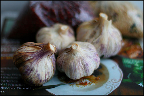 History Of Garlic As Food