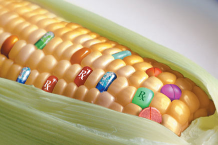 GMO Produce - Now Your Smartphone Will Know