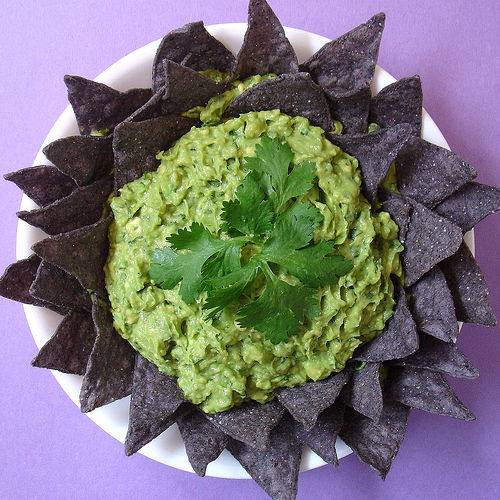 How To Store Guacamole? 