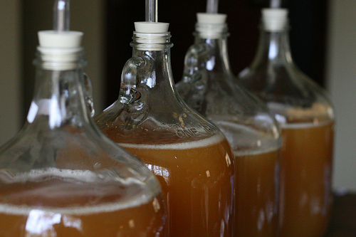 How to Make Hard Apple Cider?