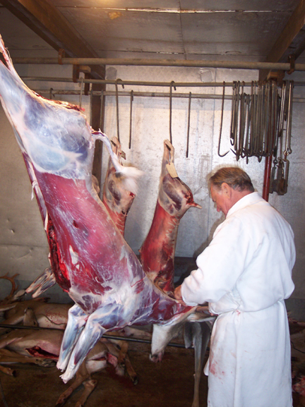 How To Butcher A Deer