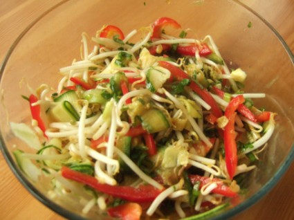How To Sprout Beans For Salads