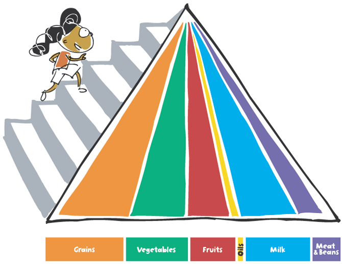 Food Pyramid
