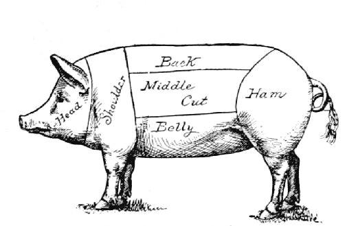 How to Slaughter Pig?