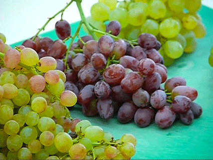 Tips to plant table grapes