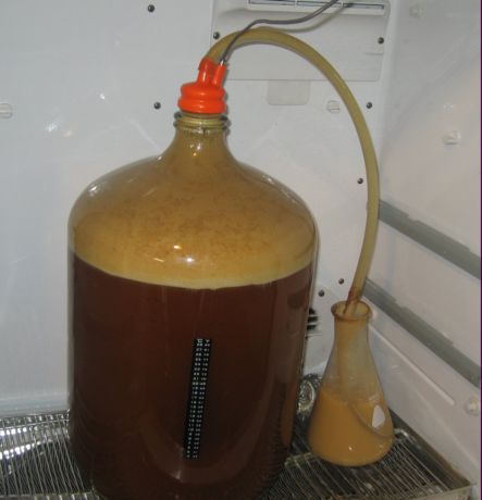 How To Brew Beer At Home?
