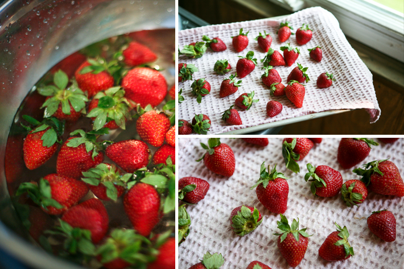 No More Mold On Your Berries