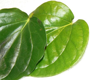 Herbal Remedies For Croup