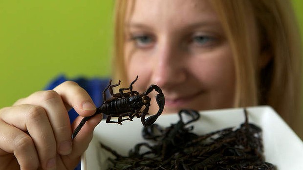 Bugs That You Eat Daily