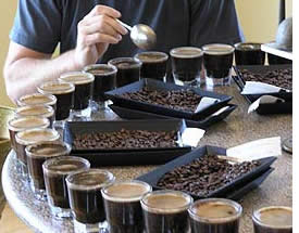 Different Flavors Of Coffee – Have Your Pick
