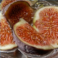 How To Dry Figs
