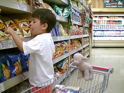 How To Shop For Groceries With Kids?