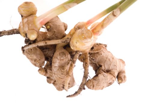 How To Freeze Jerusalem Artichokes