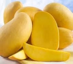 Health Effects Of Eating Rotten Mango