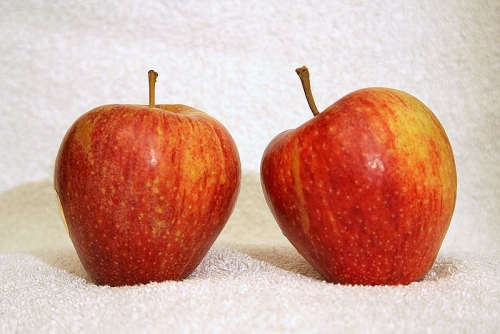 Is It Safe To Eat Apple During Pregnancy?