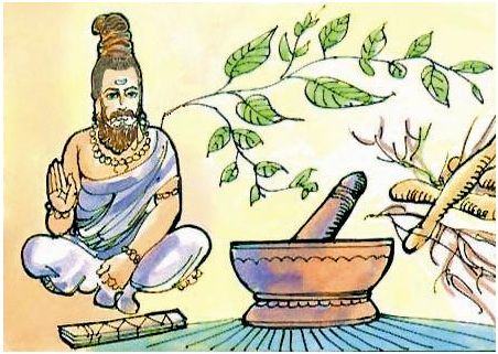 Top 10 Medicinal herbs