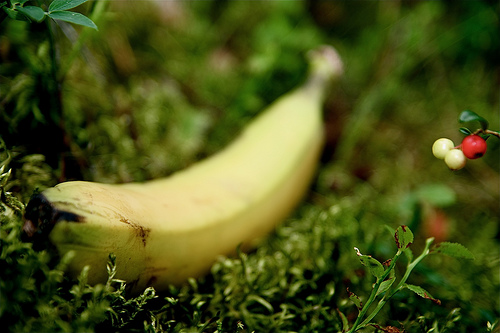 Is It Safe To Eat Banana During Pregnancy?