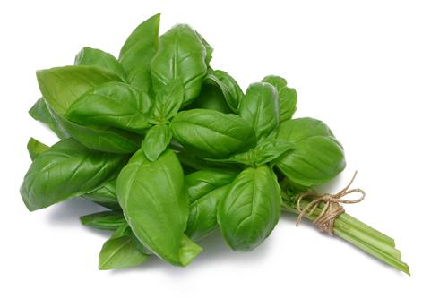 How To Use Basil For Skin Care