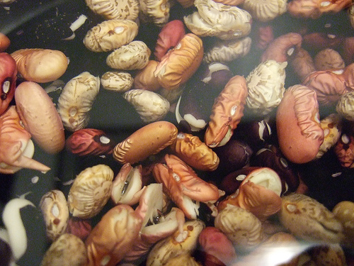 To Soak Or Not To Soak The Beans