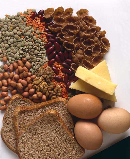 How To Identify Food Items That Are Good Source Of Amino Acids