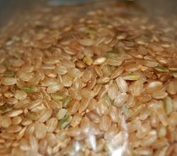 What Are The Benefits Of Brown Rice Tea