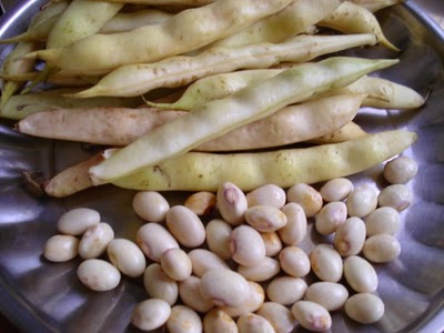 How To Dry Butter Beans