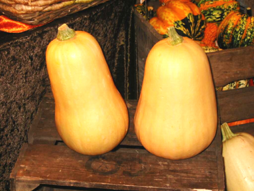 How To Freeze Mashed Butternut