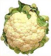 How To Freeze Mashed Cauliflower