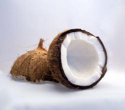 Coconut Menu Ideas