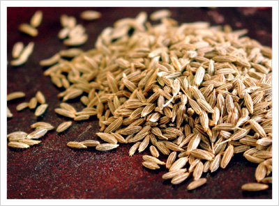 Cumin Substitutes: Best Cumin Substitutes