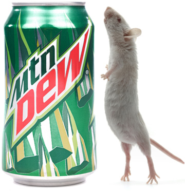 Pepsi Co.s Bizarre Argument Against A Mouse In A Can