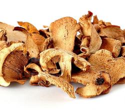 Mushroom Menu