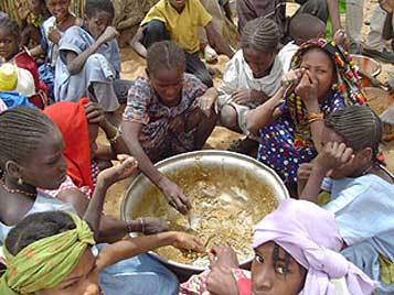 Reosons of food crises.
