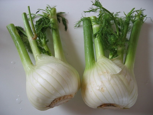 Herbal Remedies For Pneumonia 
