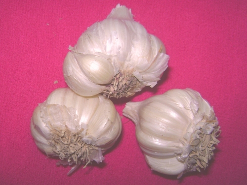 Is It Safe To Eat Garlic During Pregnancy?