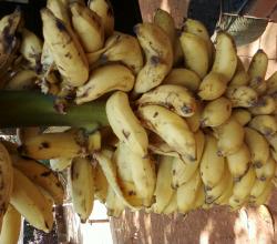 How To Peel Banana