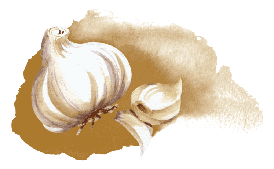 What Are The Side Effects Of Kyolic Garlic 