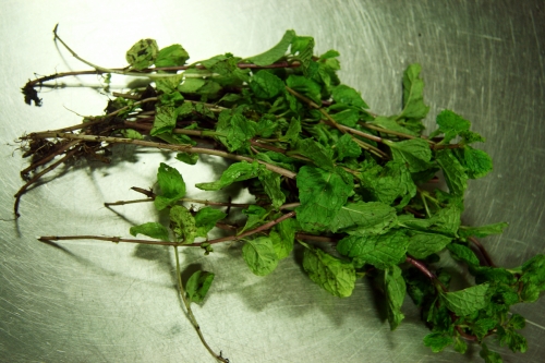 How To Fight Mint Addiction