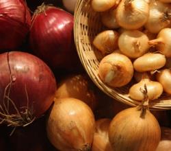 Herbal Remedies For Prostate Cancer