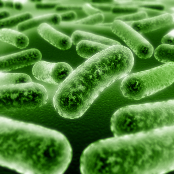 What Are Probiotics? - An Introduction To The World of Probiotics
