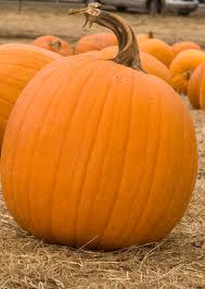 Pumpkin Menu