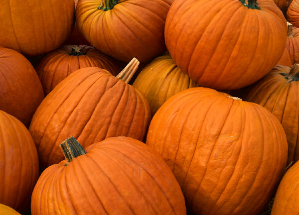How To Freeze Baked Pumpkin