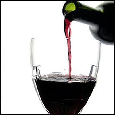 Mendoza Wine Tour