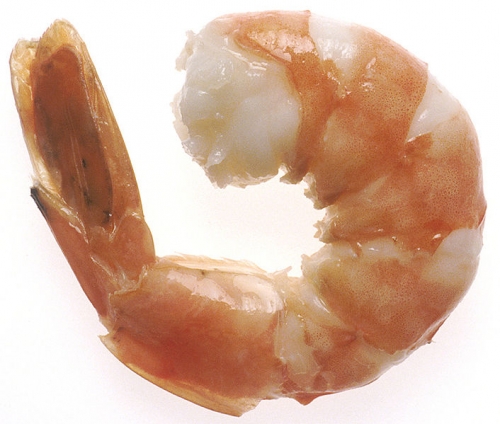 Is It Safe To Eat Shrimp During Pregnancy?
