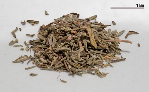 Herbal Remedies For Folliculitis